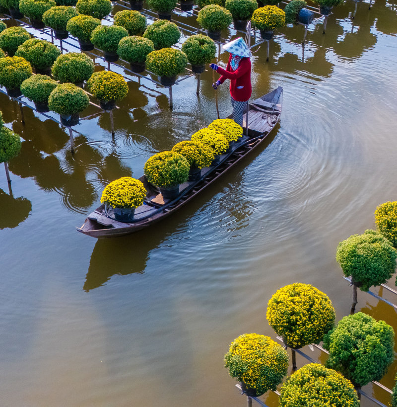 Bαρκάδα στον ποταμό Μεκόνγκ, «τη Μητέρα των νερών»