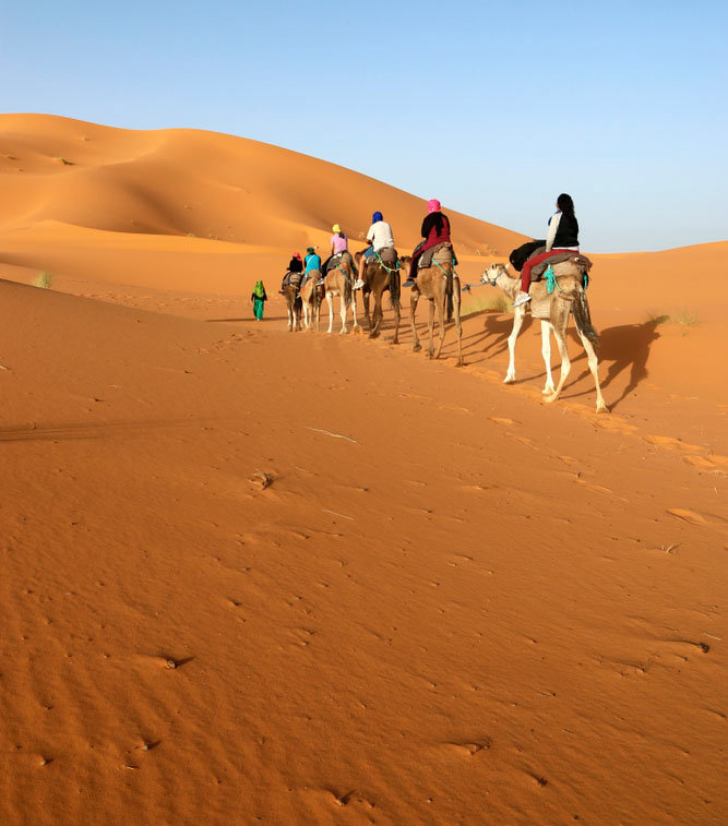 Άρτια σχεδιασμένο πρόγραμμα  
