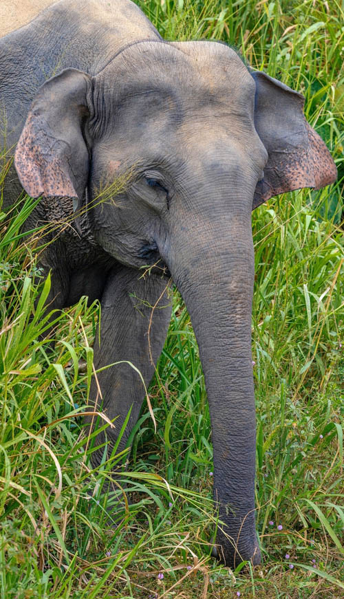 Τρεις (3) διανυκτερεύσεις στη Χαμπαράνα