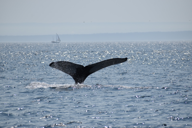  ΚΕΜΠΕΚ – Εκδρομή στο ΤΑΝΤΟΥΣΑΚ 