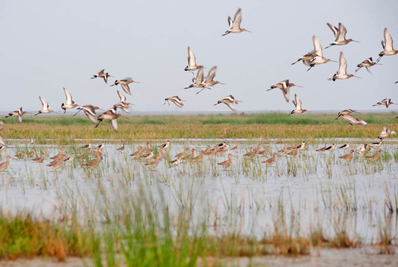 Λίμνη Τσίλκα