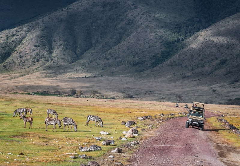 Σαφάρι πολυτελείας στην Τανζανία - Ζανζιβάρη