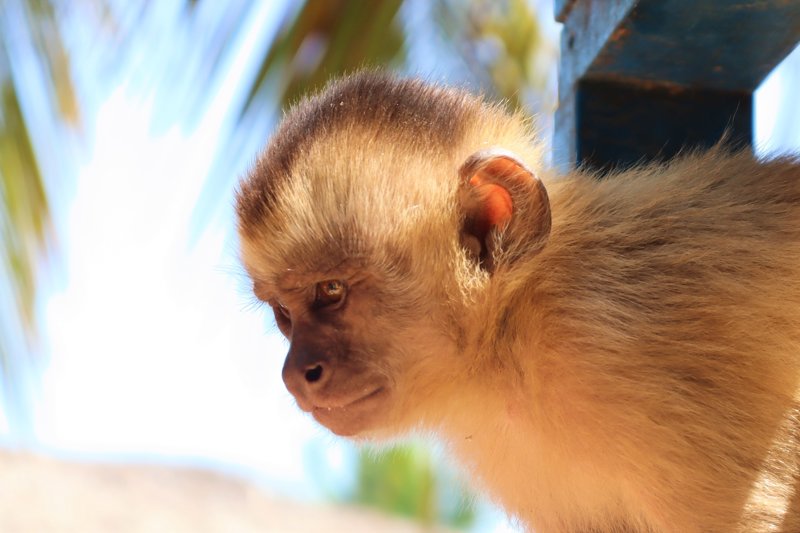 Γνωριμία με το χωριό Βασούρας