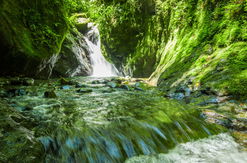 ΚΙΤΟ: Εκδρομή στη Ζούγκλα Μίντο