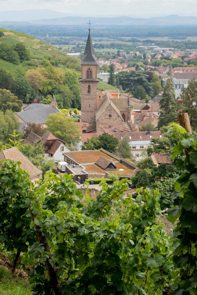 Περιηγηθείτε στον Μέλανα Δρυμό 