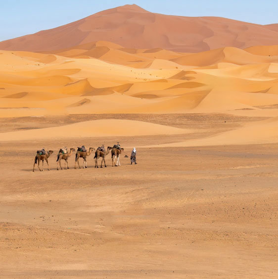 Διανυκτέρευση στην έρημο
