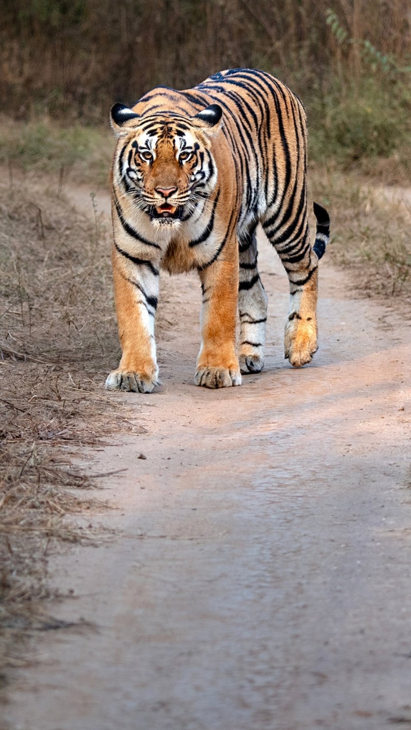 Σαφάρι με κανό και jeep
