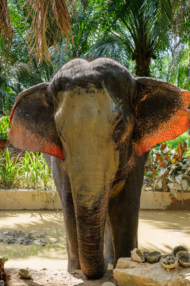 Το Εθνικό Πάρκο του Κουιμπούρι