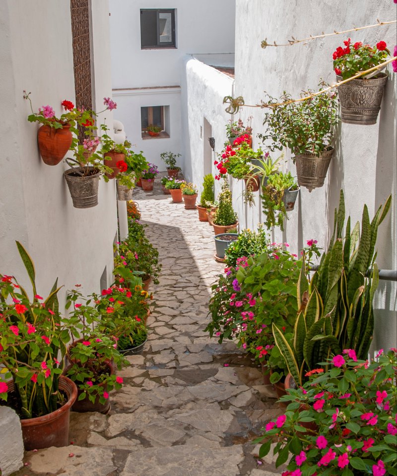 Επισκέψεις στα περίφημα Pueblos Blancos 