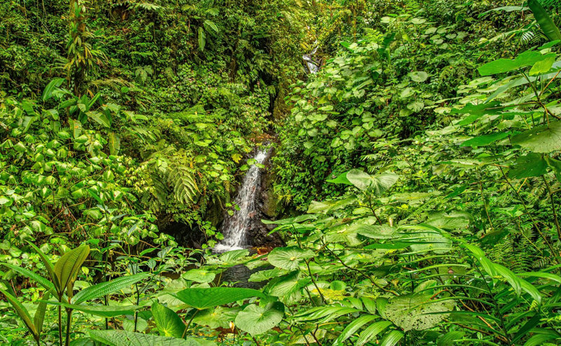 Το Μοντεβέρδε