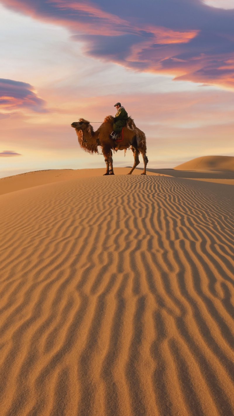 Βόλτα στην έρημο με καμήλες