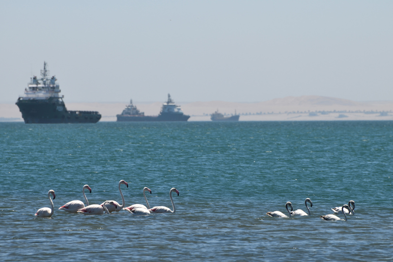 Μια μοναδική κρουαζιέρα στον ανοιχτό ωκεανό!
