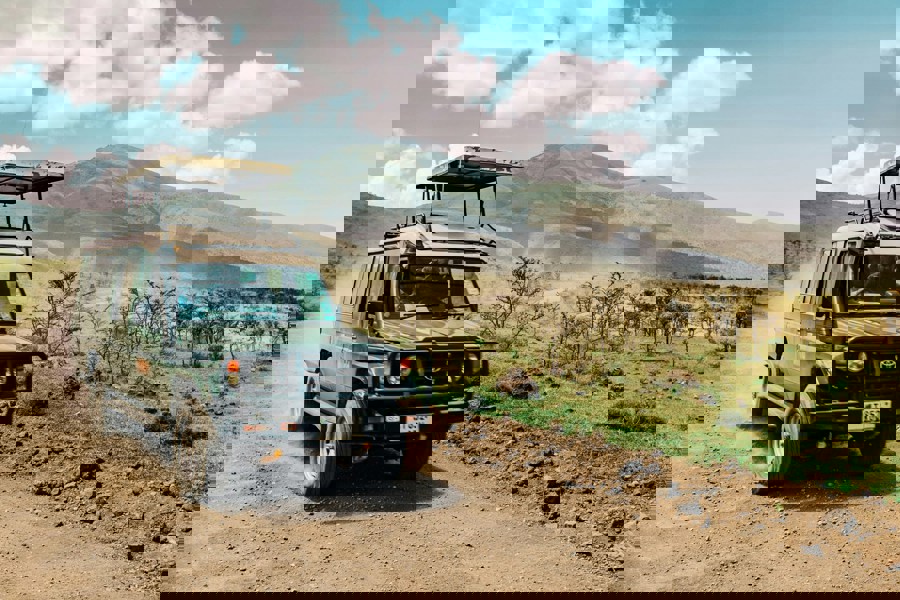 Τανζανια σαφαρι