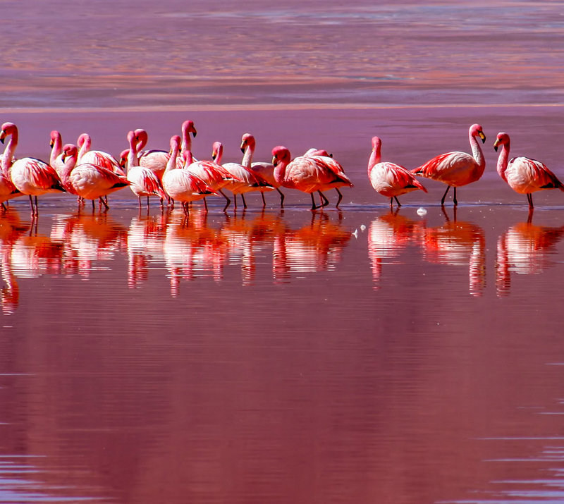 Διανυκτέρευση στο καταπληκτικό Εθνικό Πάρκο Αβαρόα