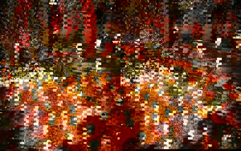 Η γιορτή των νεκρών στην Τζιντζουντζάν