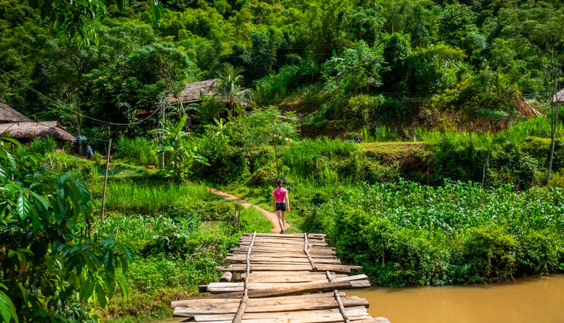 Δραστηριότητες της ημέρας 