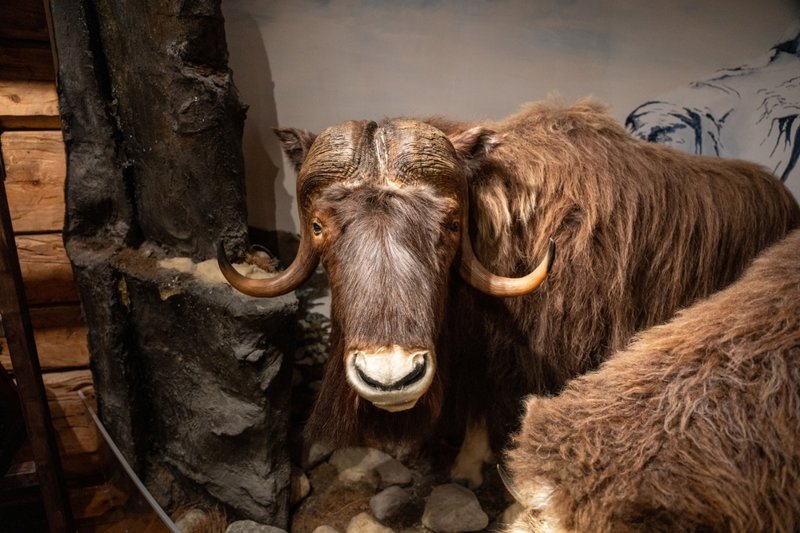 Το Πολικό Μουσείο