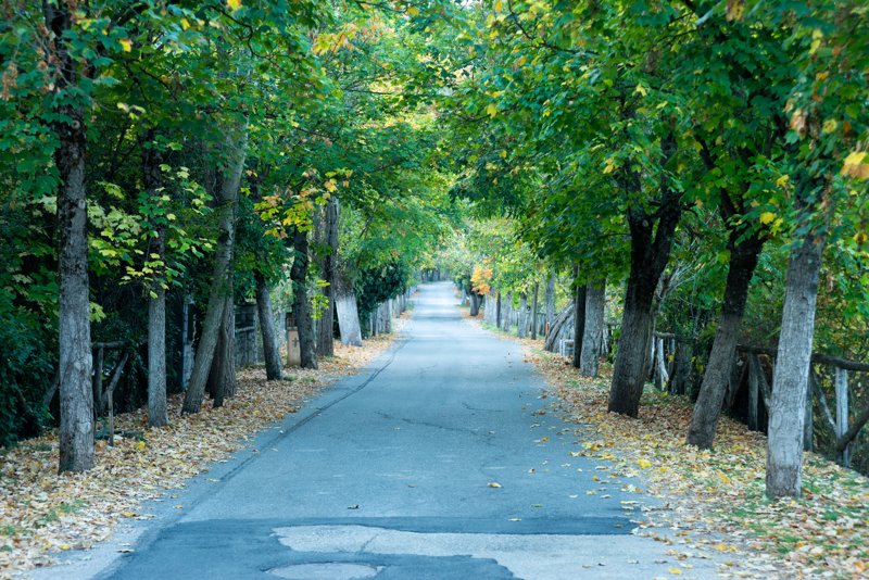 Ο Δρόμος της Αγάπης στη Βυτίνα