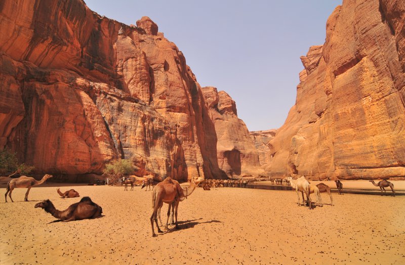 Πολυτελές οδοιπορικό στο Τσαντ - Μυστηριακές νύχτες στην έρημο