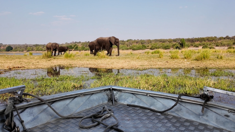 ΚΑΤΑΡΡΑΚΤΕΣ ΒΙΚΤΟΡΙΑ - ΕΘΝΙΚΟ ΠΑΡΚΟ ΤΣΟΜΠΕ (Μποτσουάνα) - σαφάρι χερσαίο και εν πλώ 