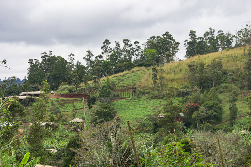 Μπαφουσάμ - Φουμπάν (ξενάγηση στο παλάτι και στο κέντρο χειροτεχνίας) - Μπαμέντα 