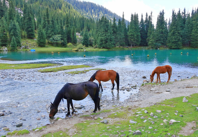 Καρακόλ – Φαράγγι Κιρτσίν – Chon Aksu – Μπισκέκ