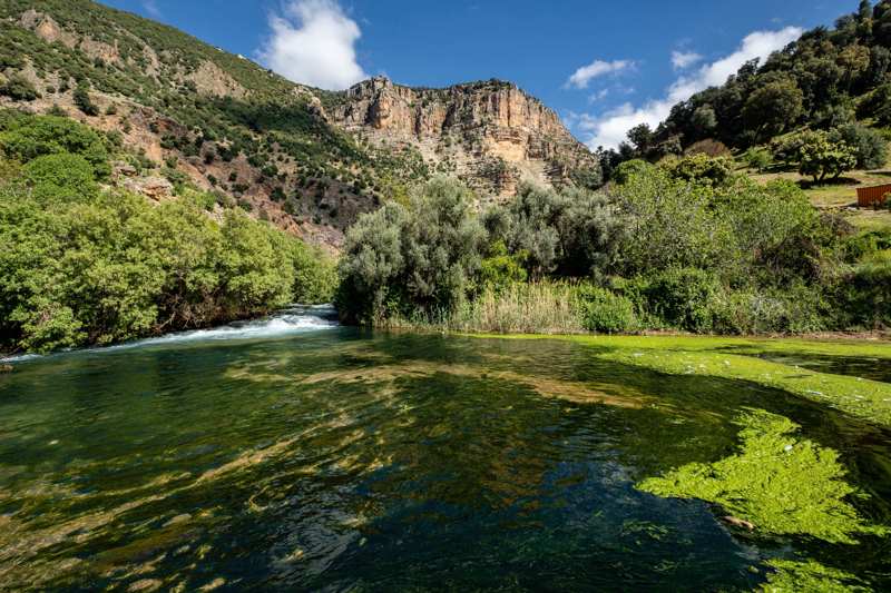 Κοιλάδα Σκούρα: Μια όαση στον προθάλαμο της ερήμου