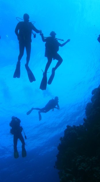 Ποιοτικό πρόγραμμα γεμάτο μοναδικές δραστηριότητες  