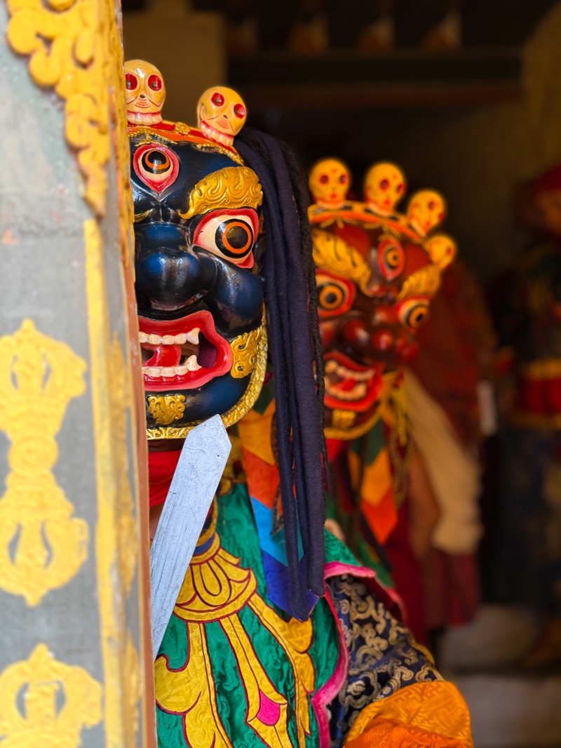 Φεστιβάλ Θιμπού Τσέτσου