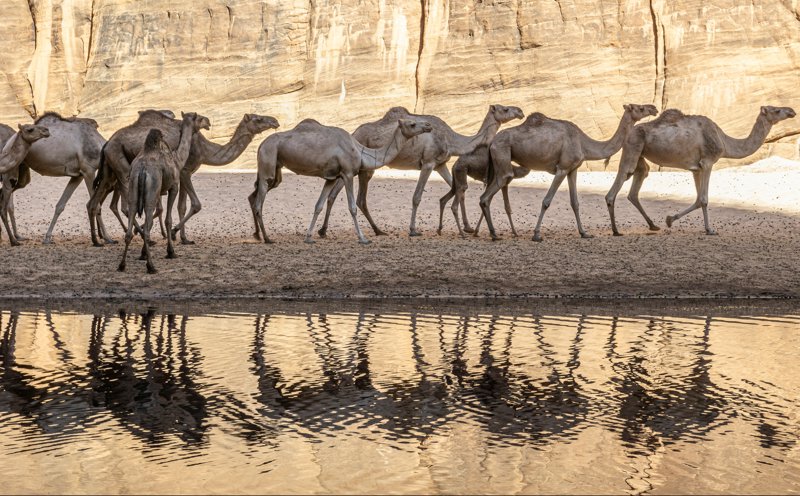 Ένα ταξίδι-εμπειρία ζωής από το Versus Travel