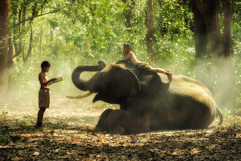 Μεγάλο σμαραγδένιο Λάος