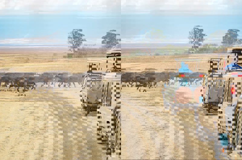 Εθνικό Πάρκο Κρούγκερ, Νότια Αφρική