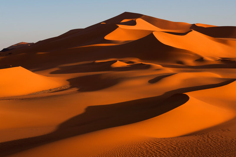 Αμμόλοφοι Barcan 