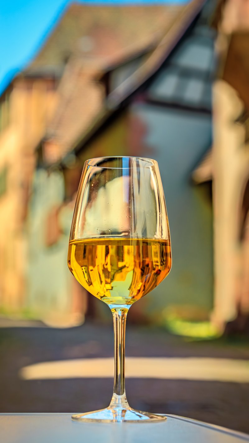 Επίσκεψη σε οινικά χωριά της Αλσατίας