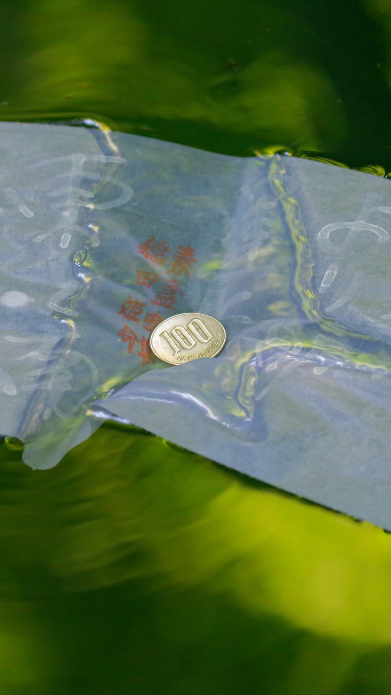 Στη λίμνη του ιερού Γιαγκάκι!