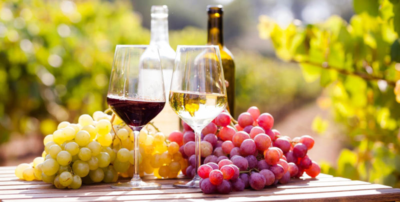 Aπολαμβάνουμε γευσιγνωσία σε τοπικό οινοποιείο