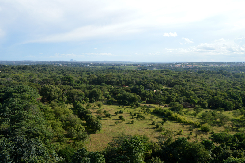 Λιλόνγκουε