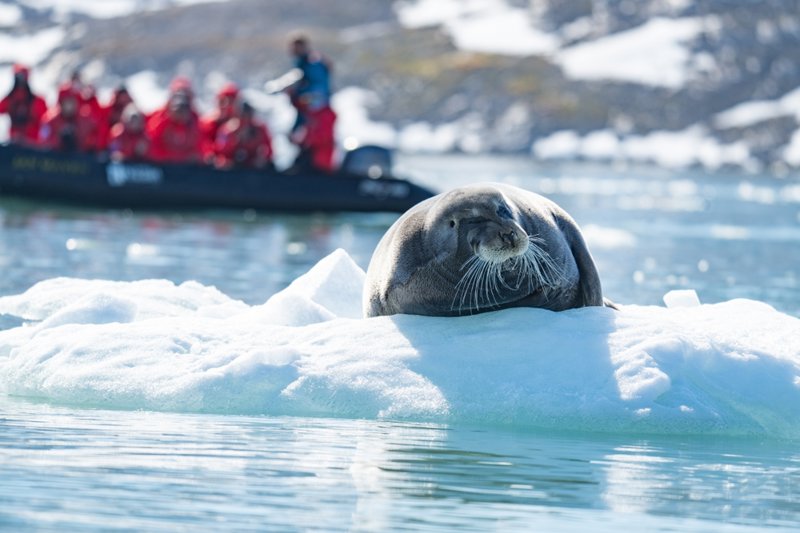 Κάνουμε τρίωρη κρουαζιέρα υπό τον Ήλιο του Μεσονυχτίου