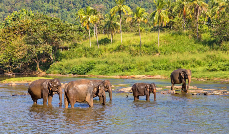 Εθνικό Πάρκο Μινερίγια