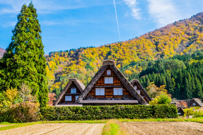 ΝΑΓΚΑΝΟ – ΣΙΡΑΚΑΒΑΓΚΟ – ΤΑΚΑΓΙΑΜΑ 