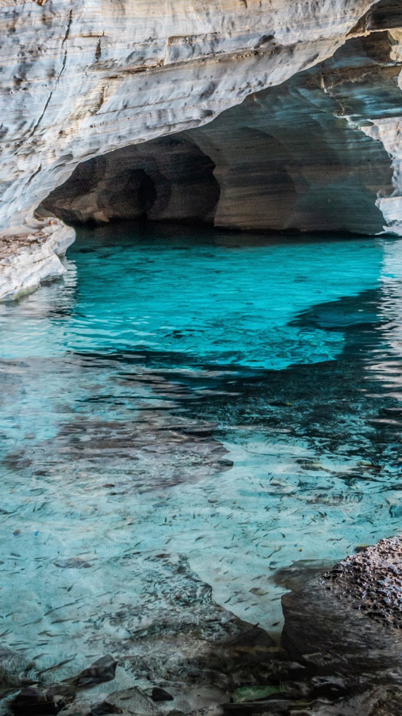 Μοναδικές εκδρομές και δραστηριότητες 