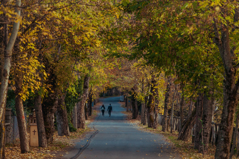 Ο Δρόμος της Αγάπης στη Βυτίνα