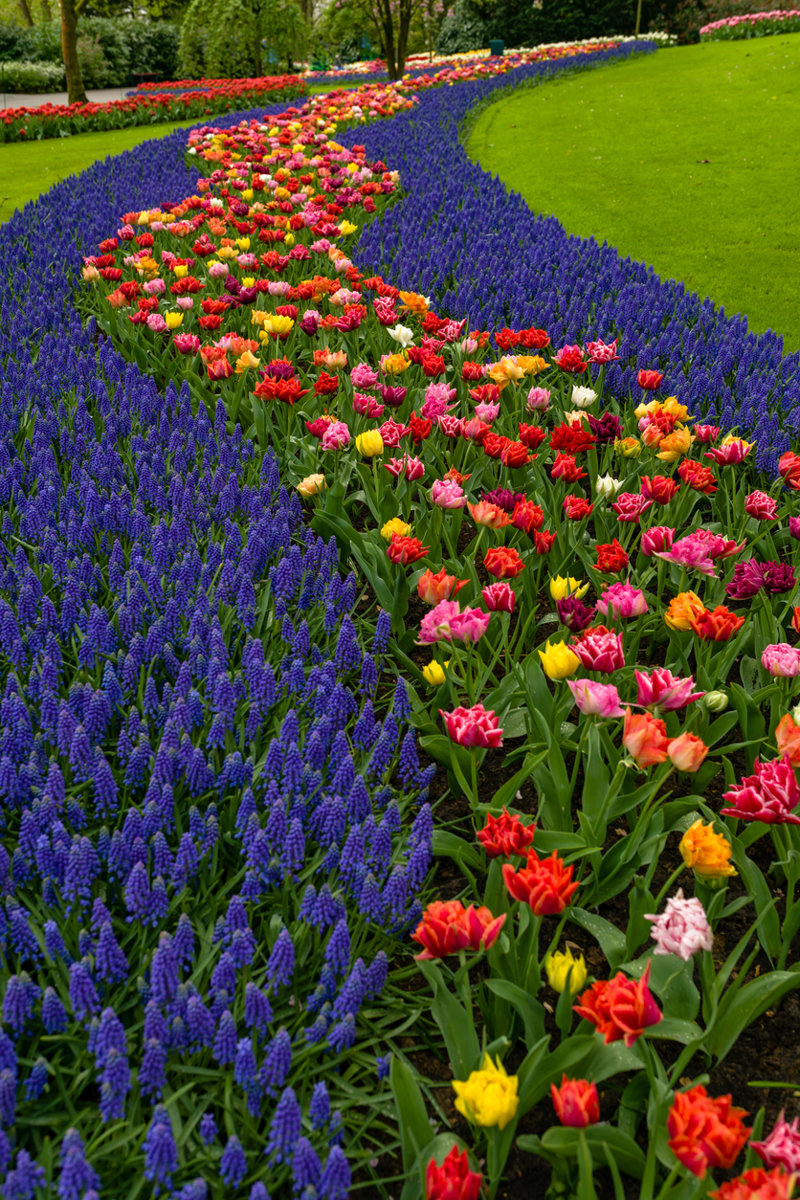 Επισκεφθείτε τον ολάνθιστο "Κήπο της Ευρώπης"