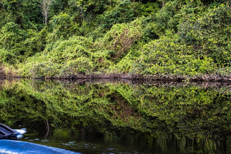 Υδροβιότοποι Marimbus