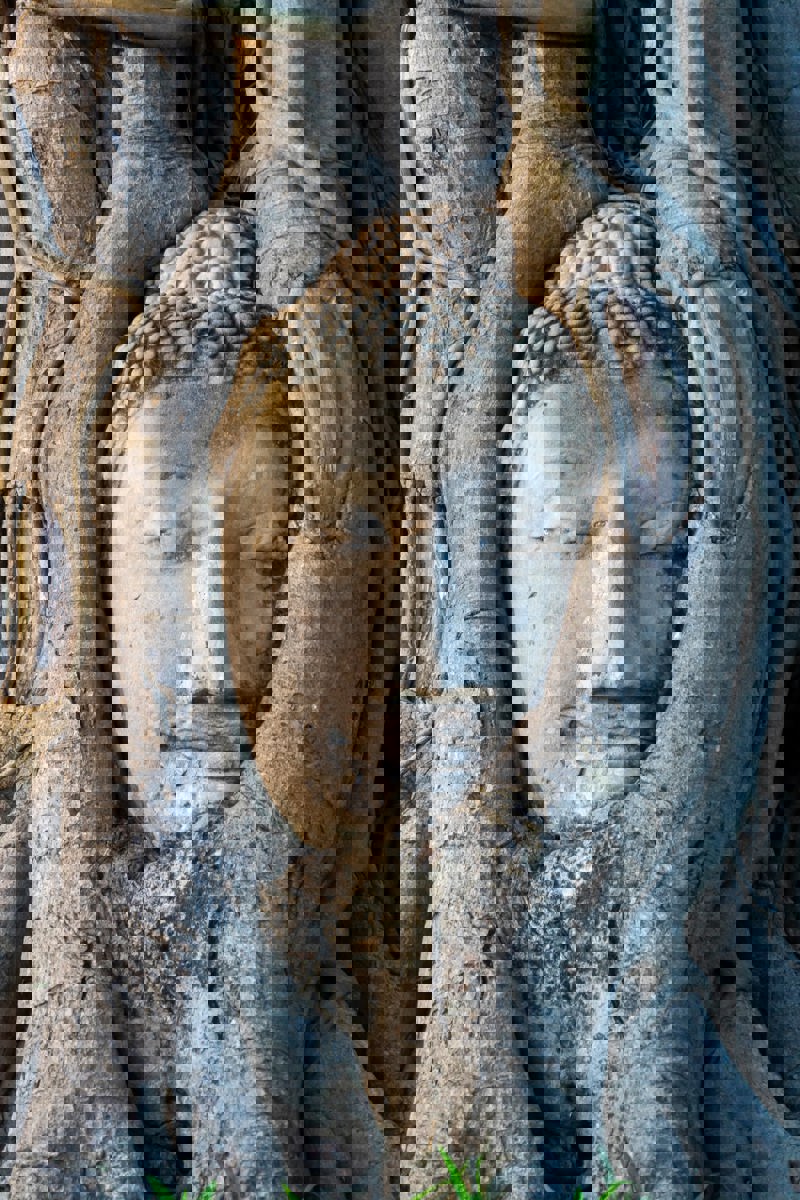 Ξενάγηση στη διάσημη Αγιούταγια