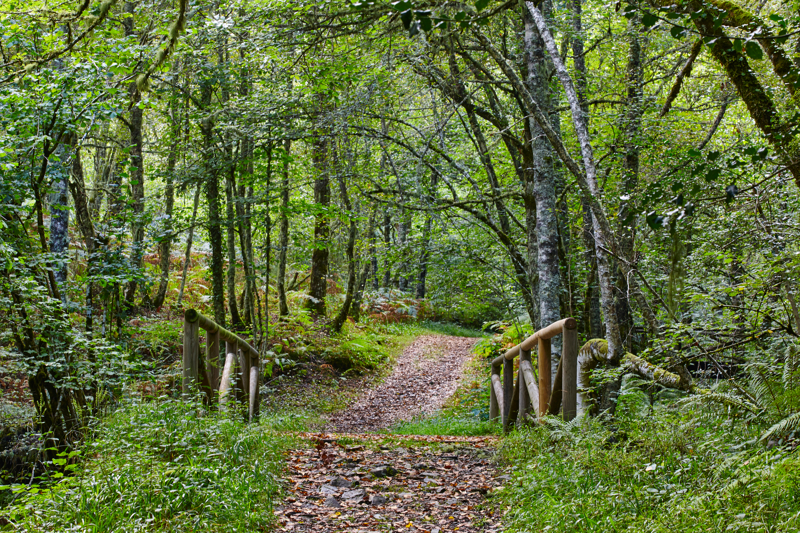 To διάσημο 'Μονοπάτι της Αρκούδας' στην επαρχία της Αστούριας