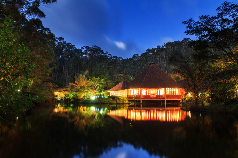Nυχτερινός περίπατος στο πάρκο του Περινέ