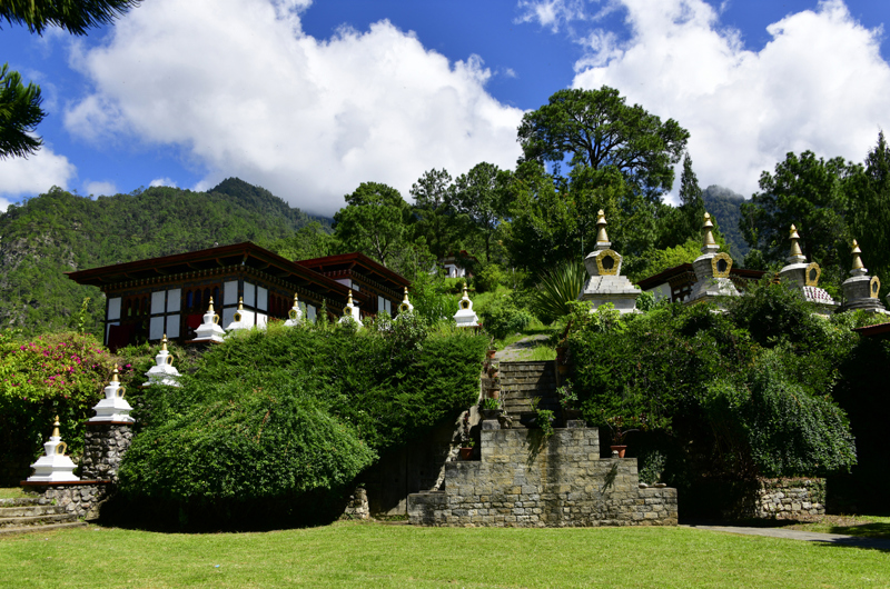 Θα ανακαλύψουμε την Πουνάκα 