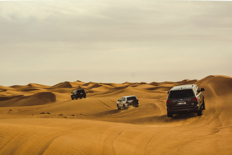 Σαφάρι με οχήματα 4x4 