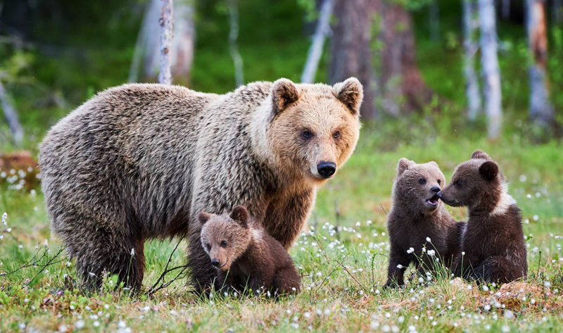 Άφιξη σε Αθήνα/Θεσσαλονίκη/Λάρνακα 